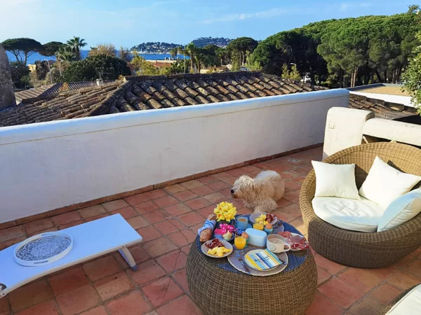sundeck with lounge