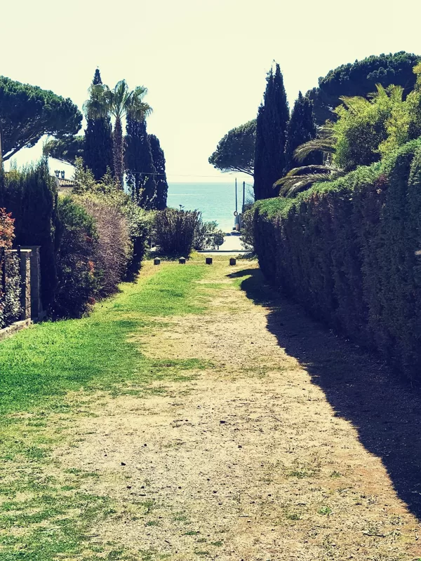 to the beach
